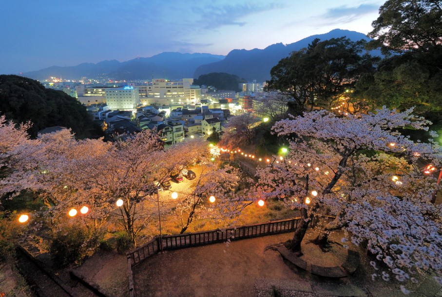 Sakura Light-Up at Shingu Castle Ruins (Tankaku-jo Park)